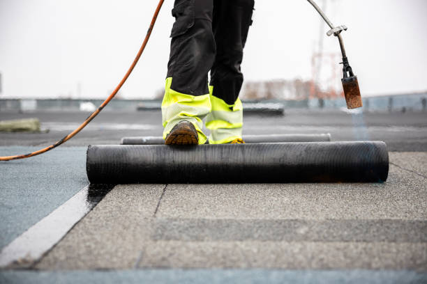 Best Asphalt Shingle Roofing  in Rossvle, IL